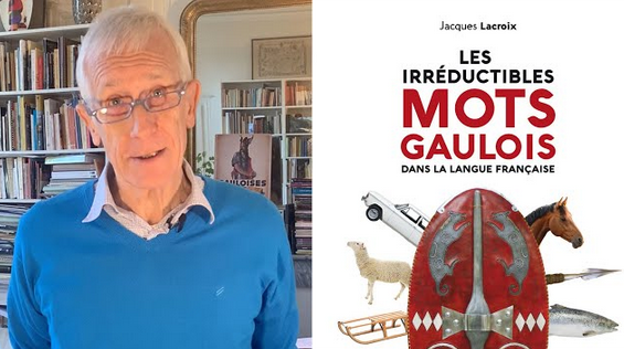 Héritage des Gaulois : entretien avec Jacques LACROIX, un spécialiste des langues celtes